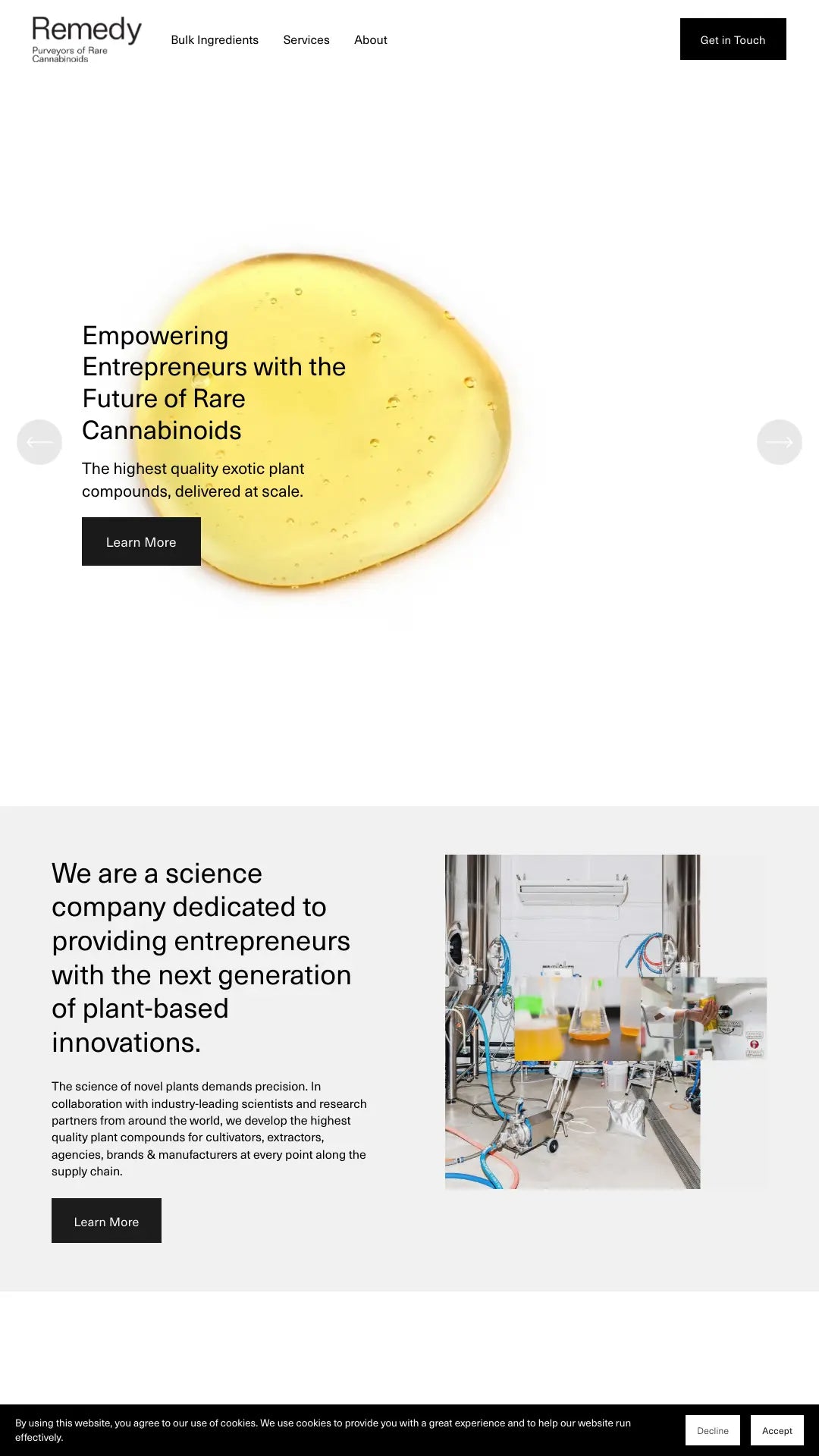 Screenshot: the Remedy Labs website.