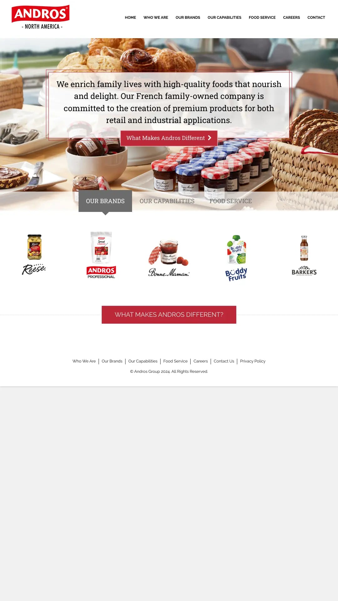 Screenshot: the Andros Foods North America website.