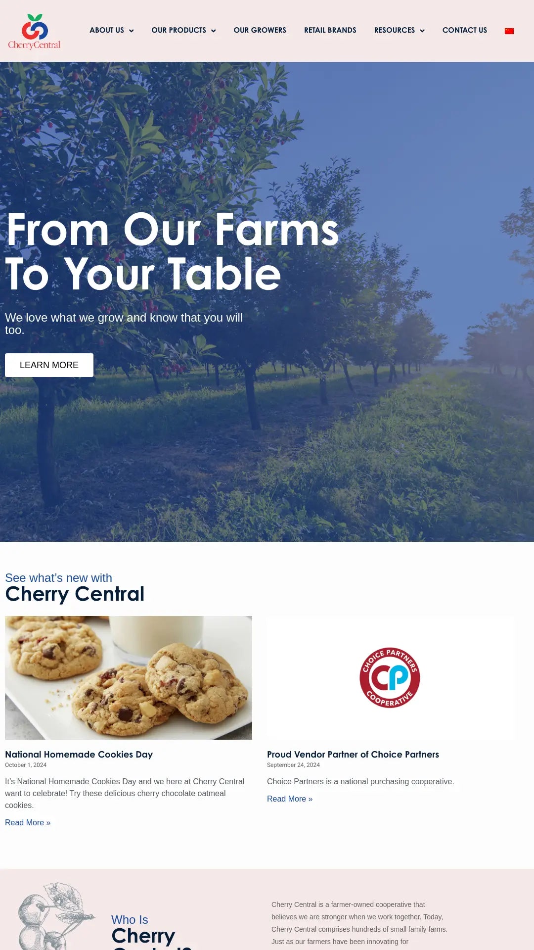 Screenshot: the Cherry Central website.