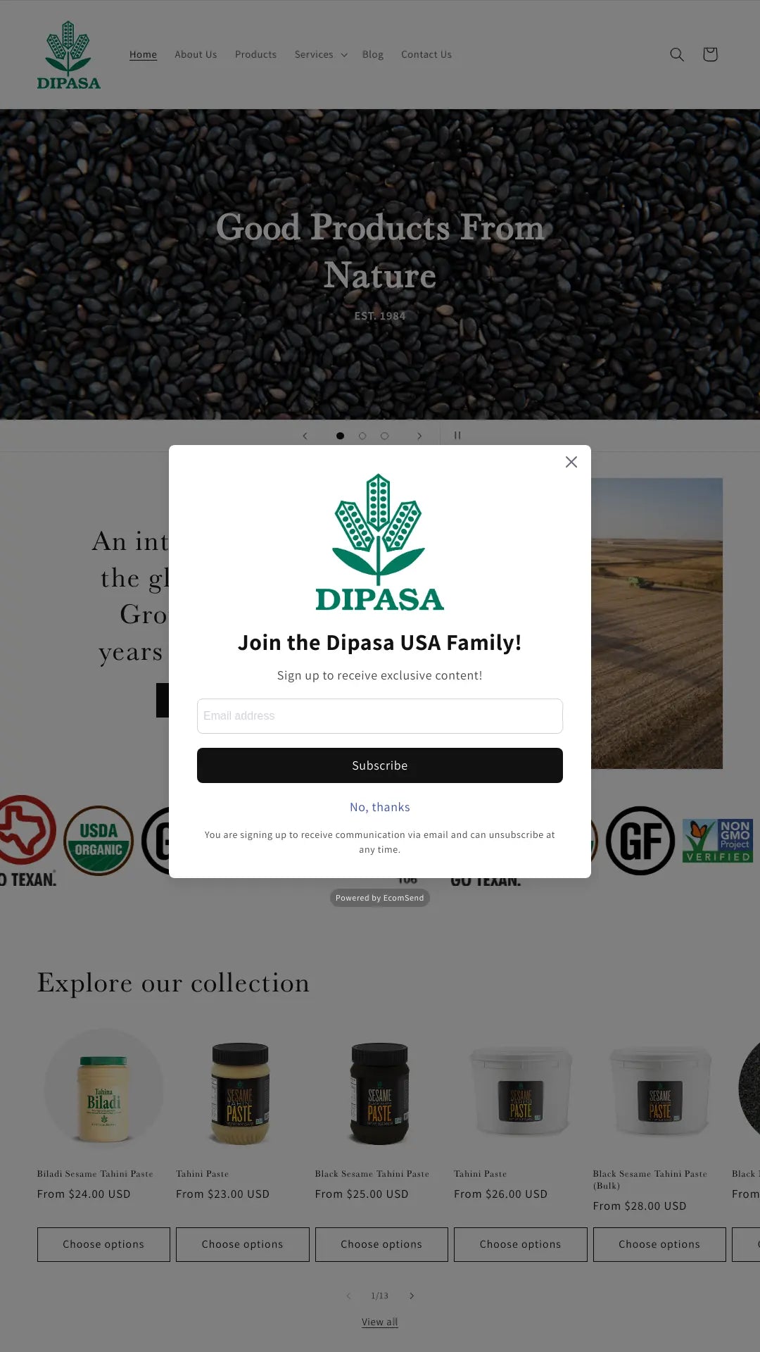 Screenshot: the Dipasa USA Inc. website.