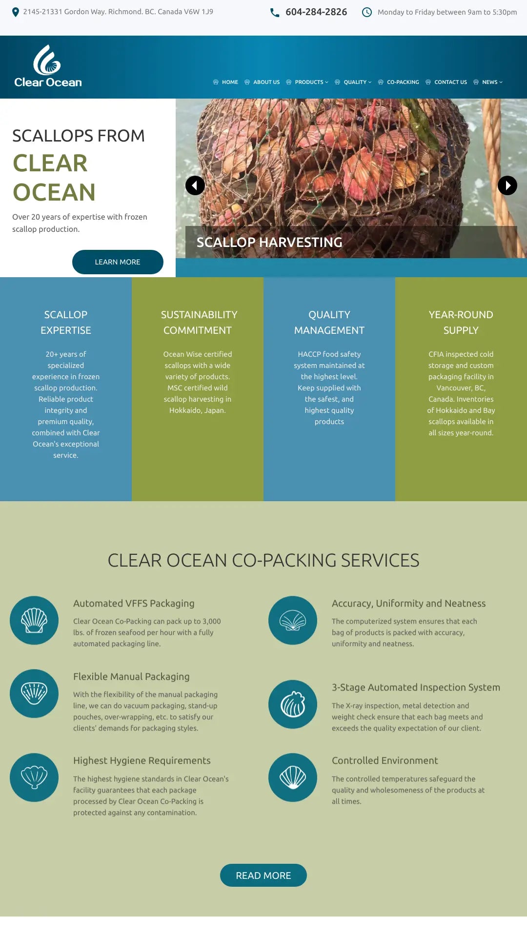 Screenshot: the Clear Ocean website.