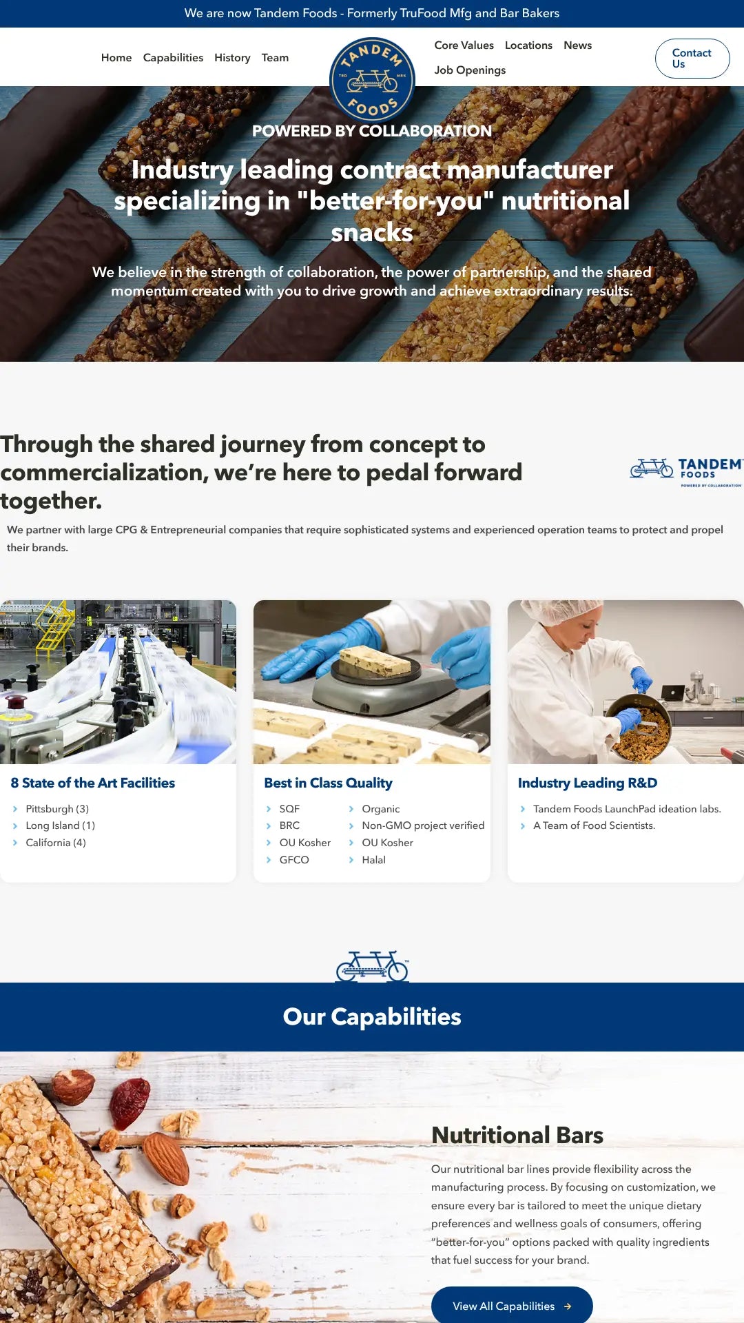 Screenshot: the Tandem Foods website.