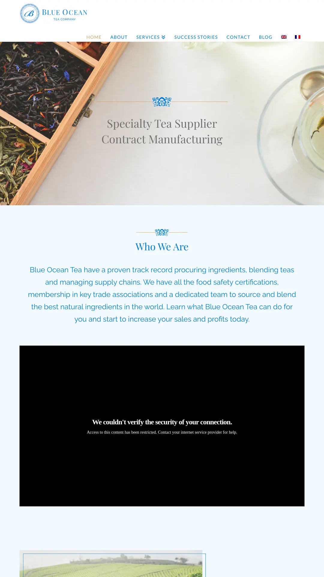 Screenshot: the Blue Ocean Tea website.