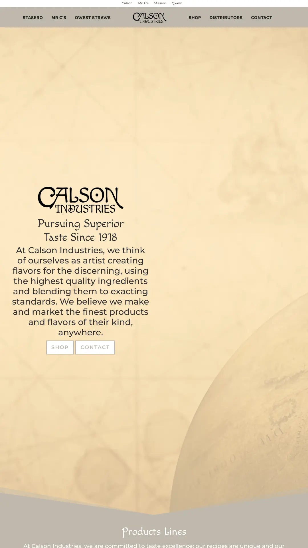 Screenshot: the Calson Ind website.