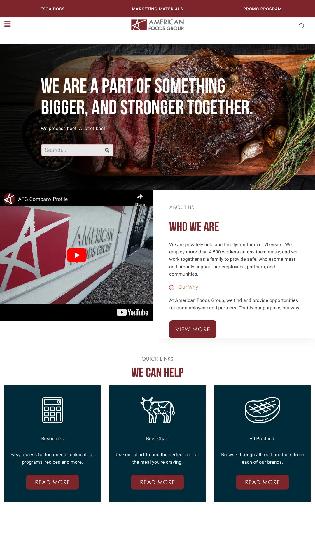 Screenshot: the American Foods Group website.