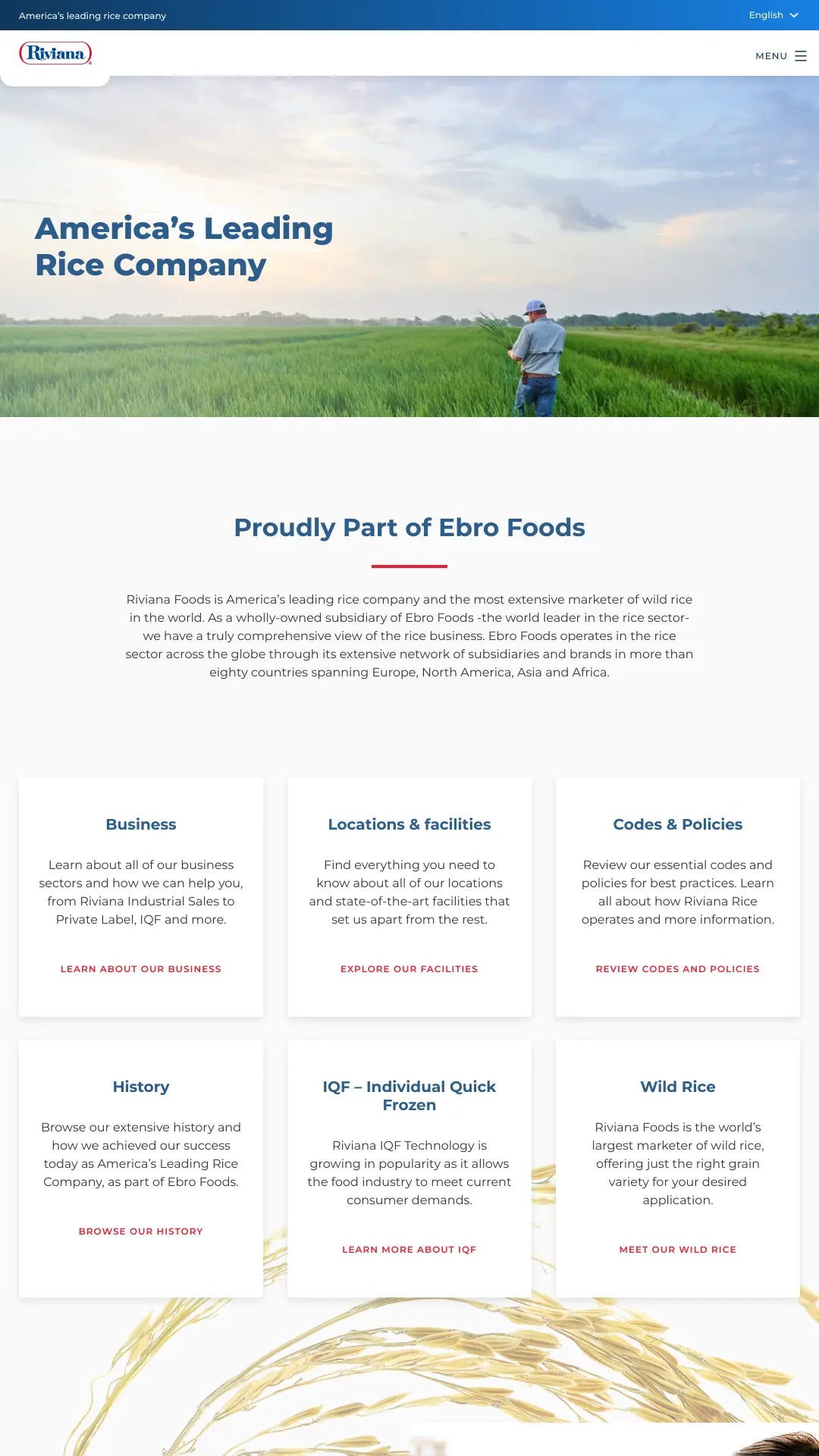 Screenshot: the Riviana Foods Inc. website.