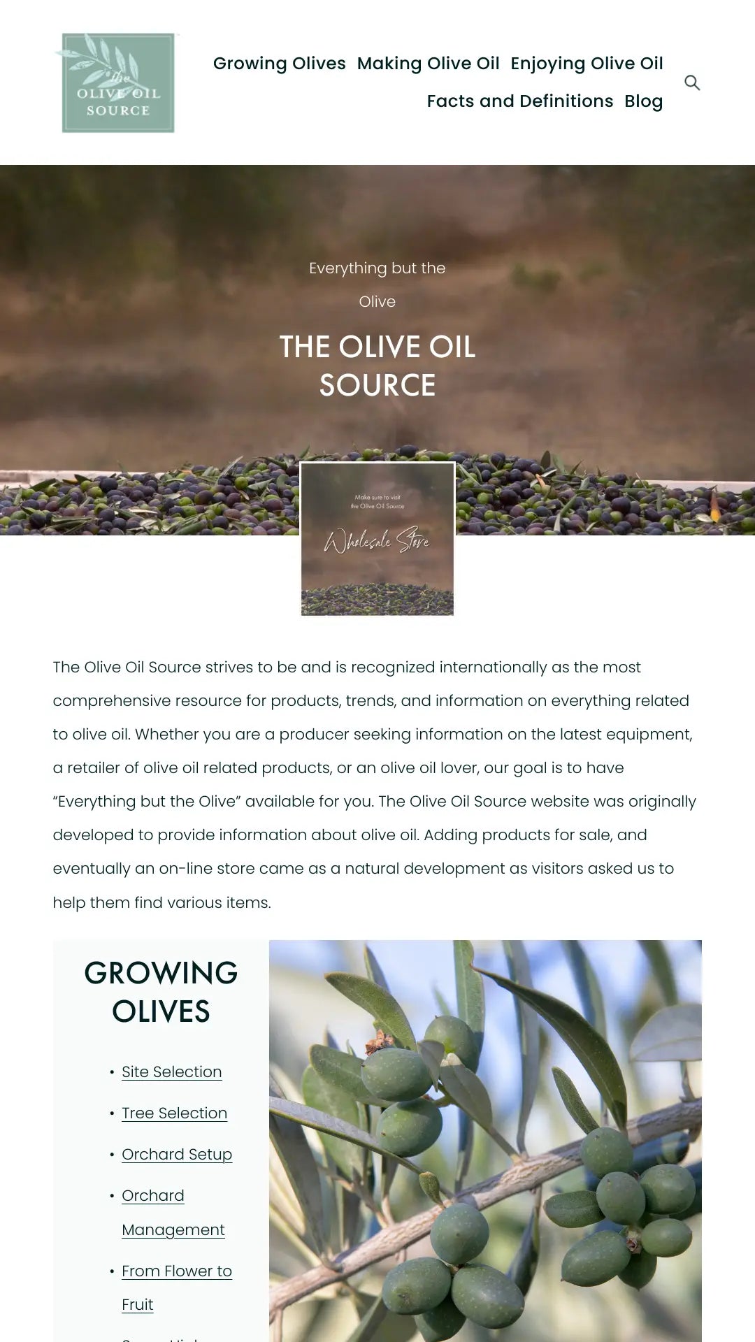 Screenshot: the Olive Oil Source website.