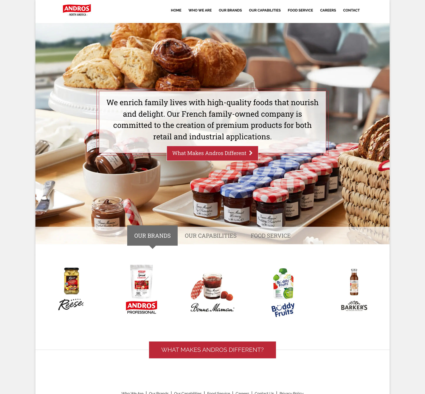 Screenshot: the Andros Foods website.