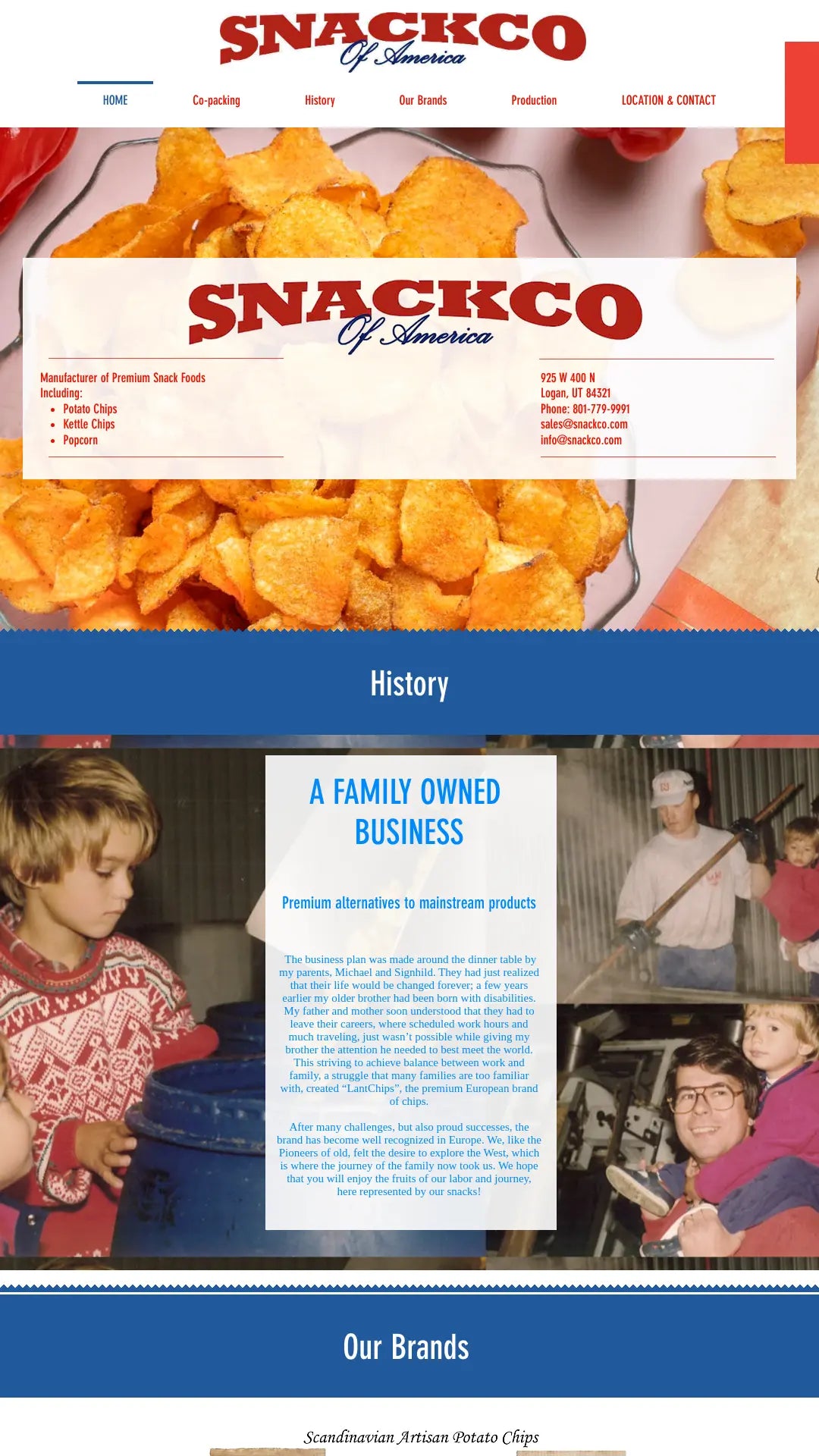 Screenshot: the Snack Co. website.