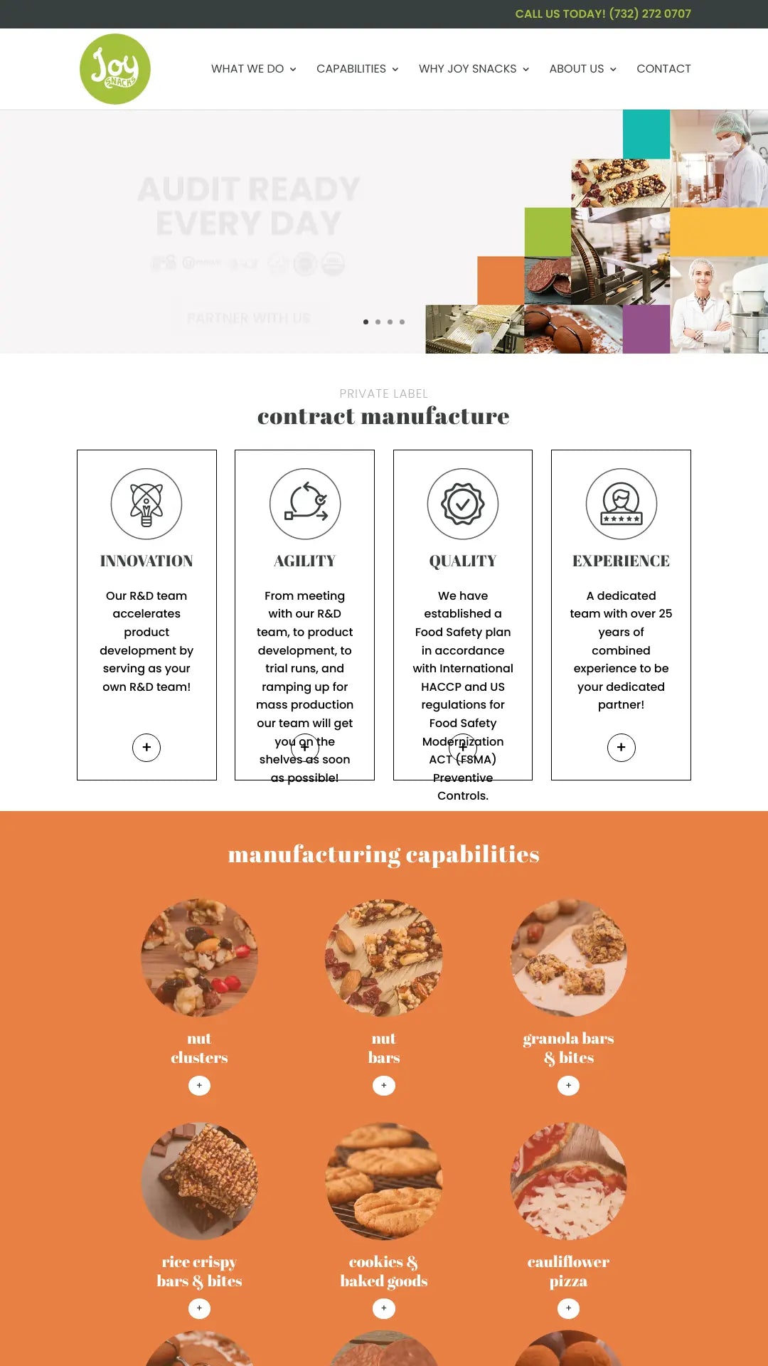 Screenshot: the Joy Snacks LLC website.